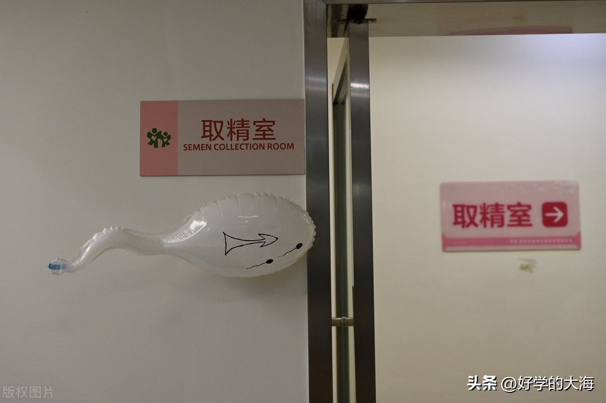 把梅西、大小罗、C罗等球星的精子收入到精子库会发生什么?