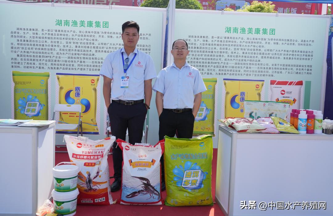 2023年南县小龙虾价格行情,南县小龙虾价格报价