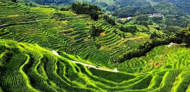 湘鄂情:湖南的“小香港”