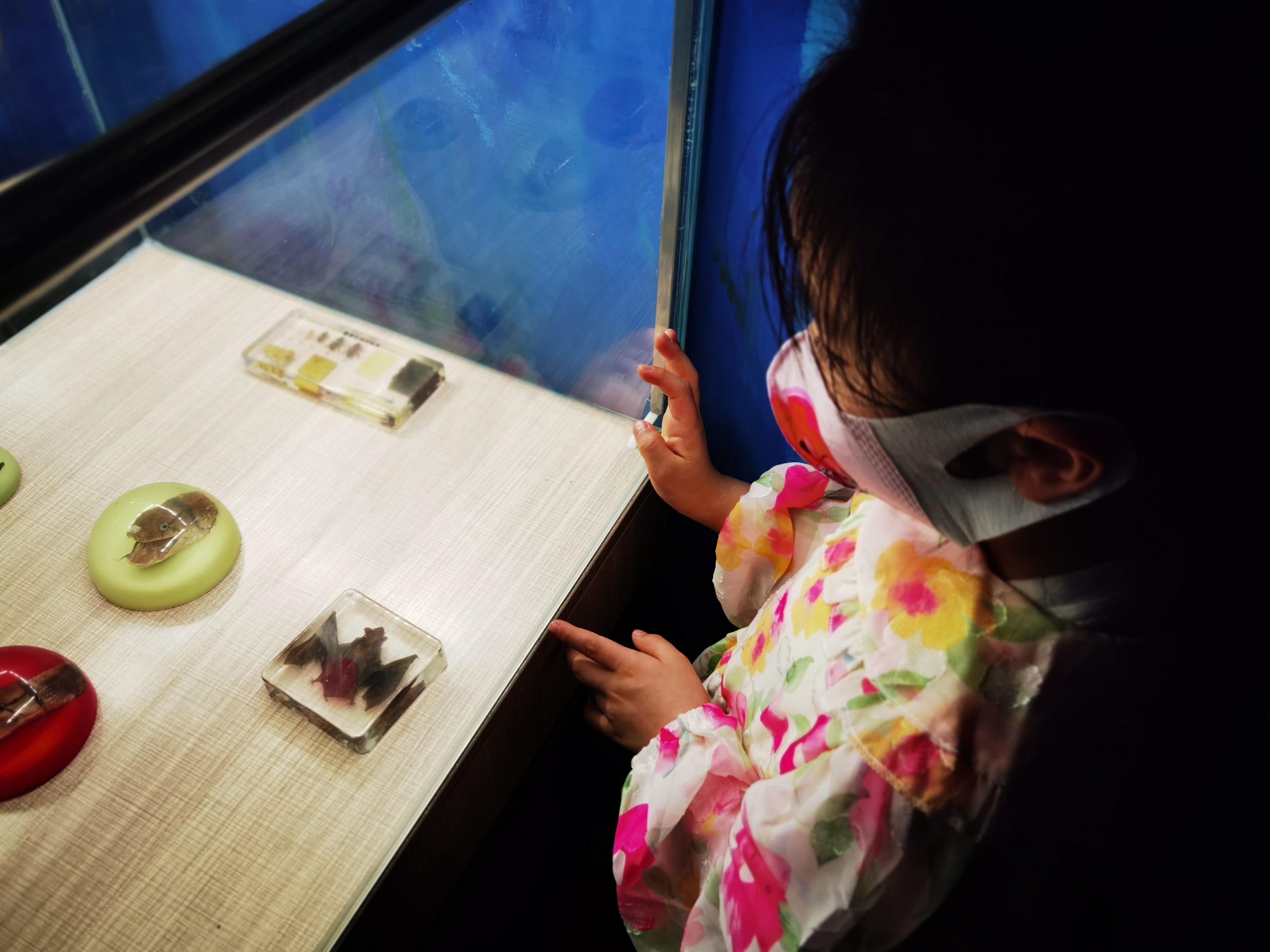 寿光极地海洋游记,五一寿光海洋极地世界