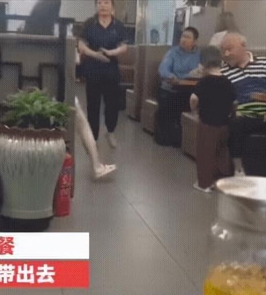 西安养狗打人事件,陕西西安狗主人打人结果