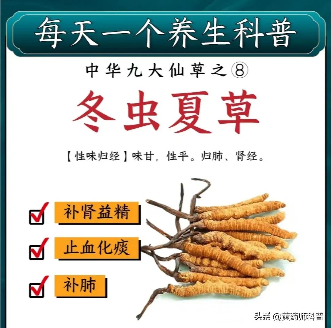 九大仙草哪个药用价值最高,中草药鬼针草的药用价值