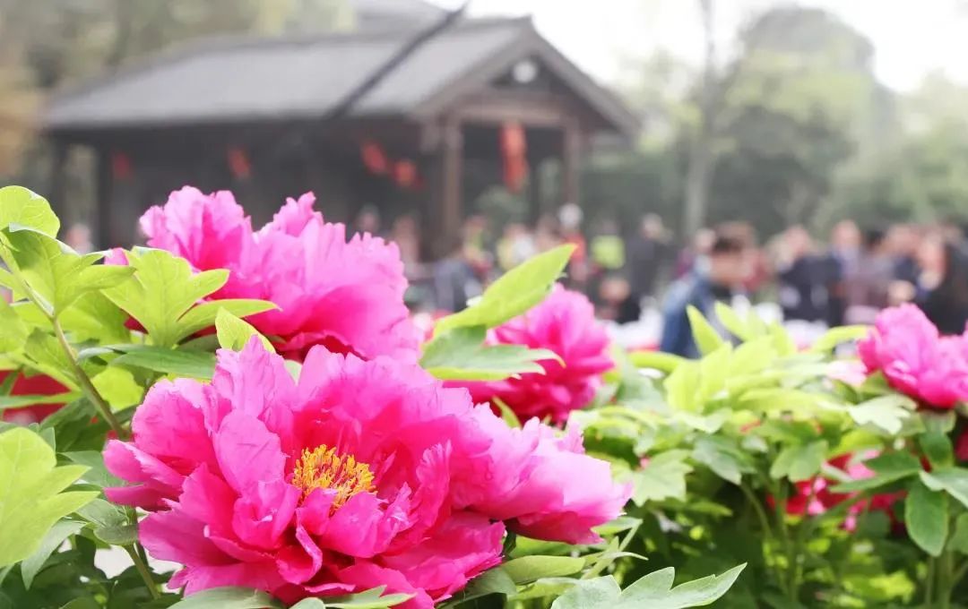 爆满的酒店,爆满的6星级酒店