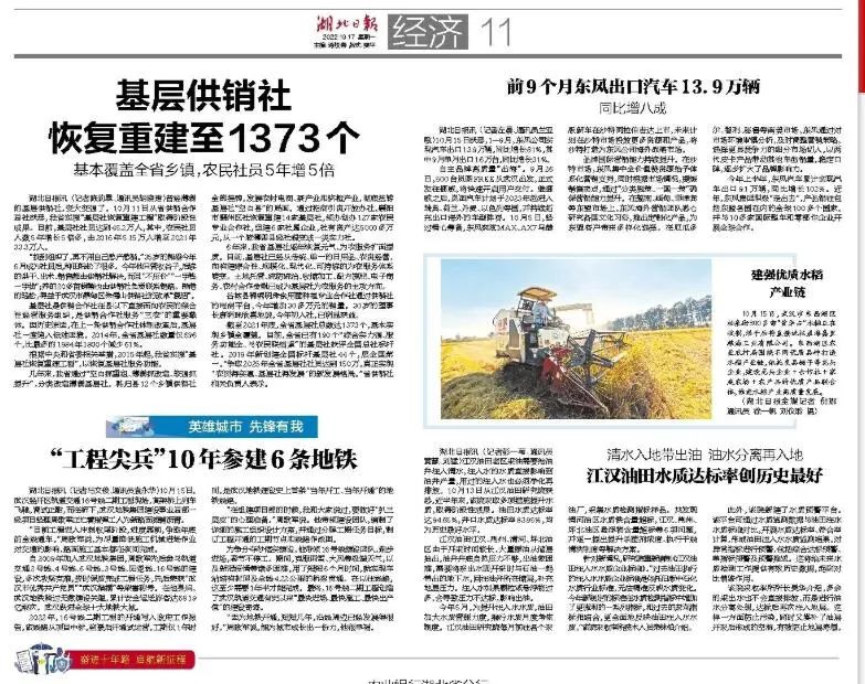 供销社成立的初衷,1954年供销社成立