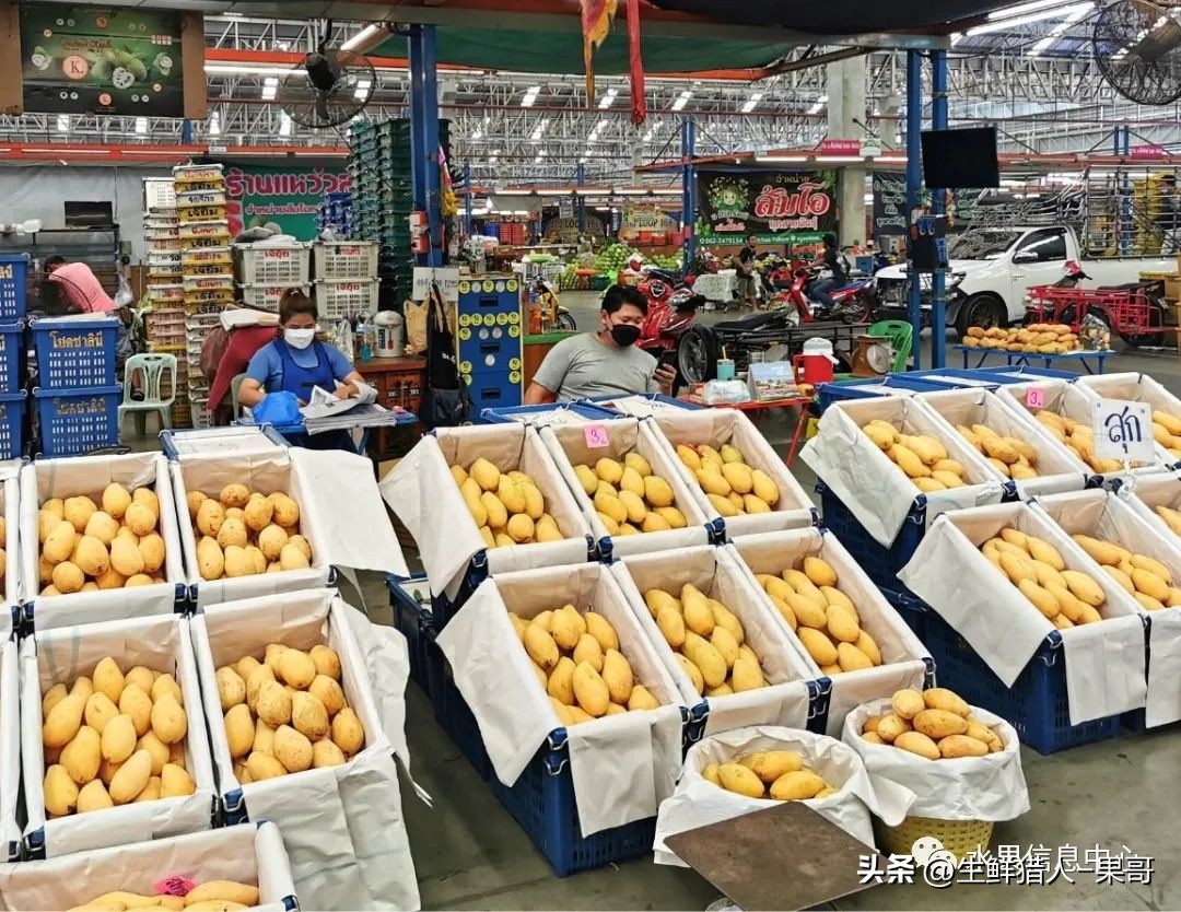 东南亚最大的水果批发市场,东南亚热带水果批发