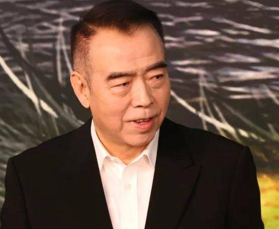 如何看待陈凯歌对柳岩发怒,陈凯歌怒斥柳岩