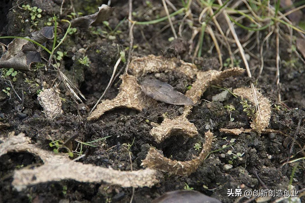 低碳环保我先行绘画,创意环保产品排行榜