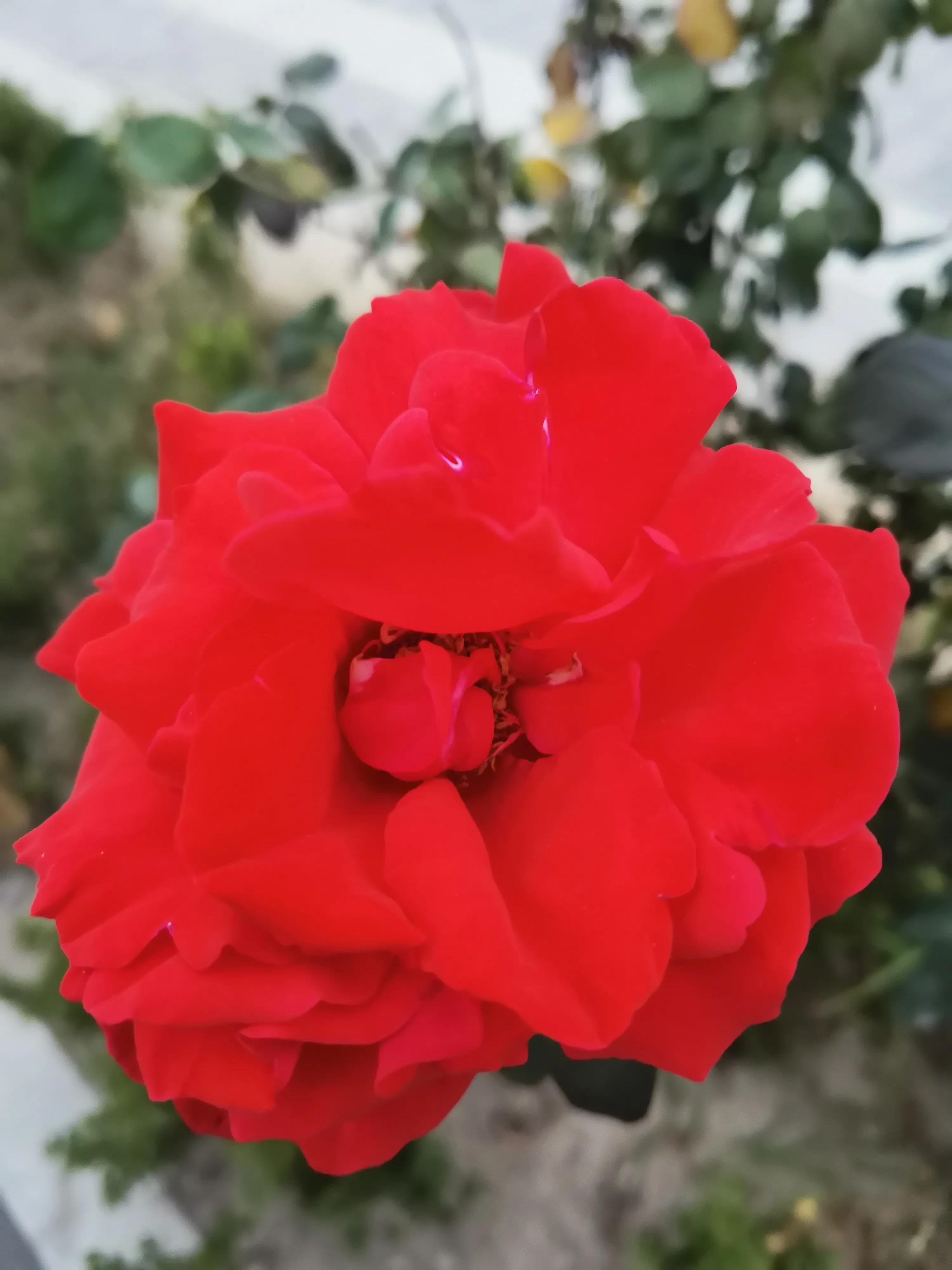 云水书法作品欣赏,云水堂楹联