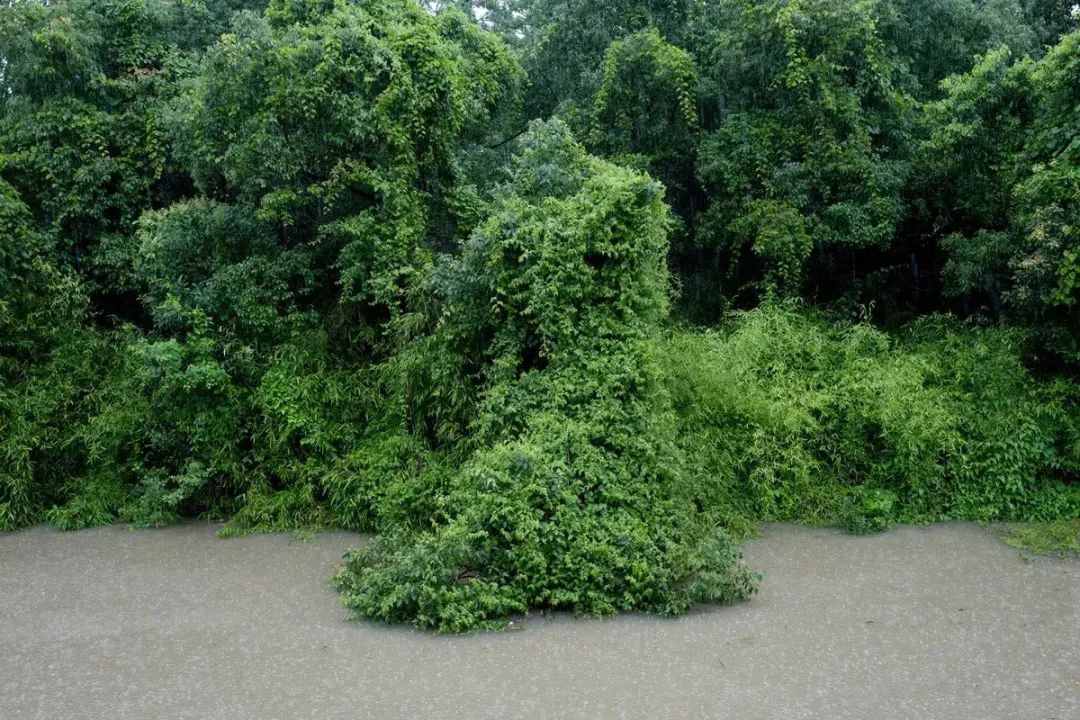 中国街拍最新头条,中国街拍每日一图