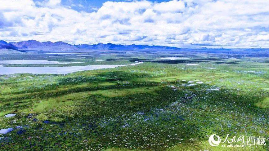 雪山下的梦幻球场爆红网络！*藏西**的这个小城，值得被所有人看到