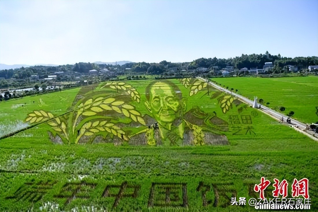 早新闻8.15｜河北高招最后一次征集志愿今开始；占地140余亩，石家庄1所医院建新院区；河北2条高速将改扩建