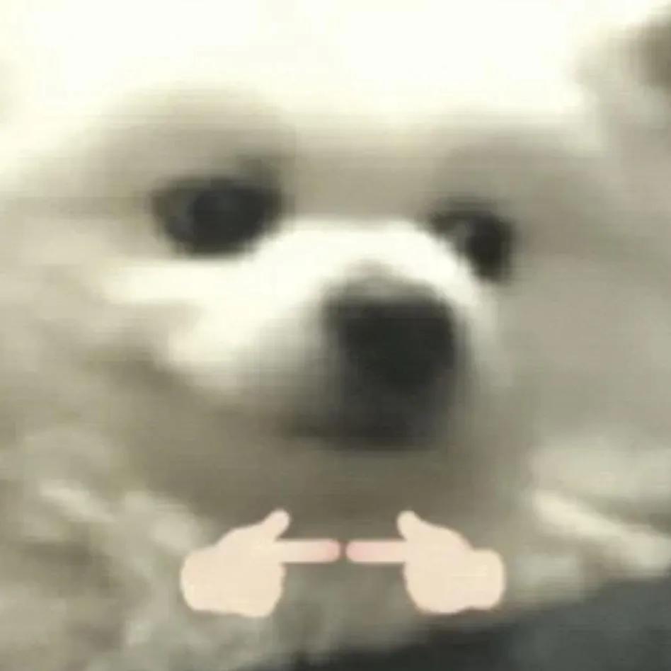 情侣头像阳光明媚五彩缤纷,阳光朝气的情侣头像