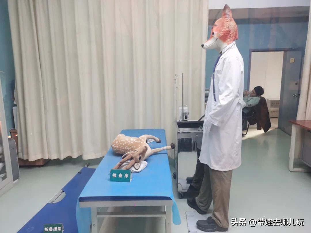 一天玩遍北京野生动物园,包场去鸟巢