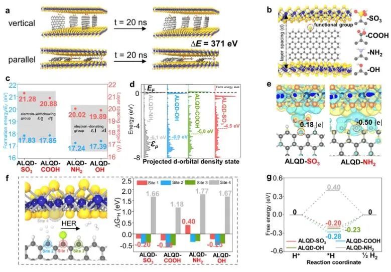 上大/南洋理工/华理NML：介导原子层2H-MoS2合成，高效催化HER