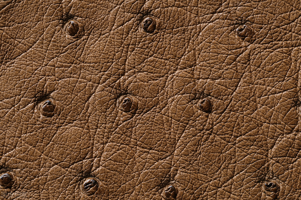 蓝湿羊皮进口报关检验检疫要求