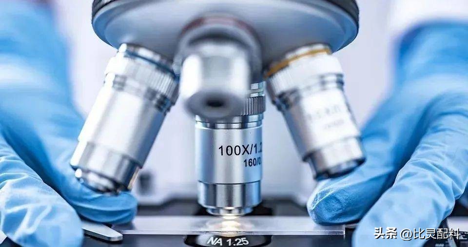 肠道益生菌提升免疫力,植物乳杆菌修复肠胃吗