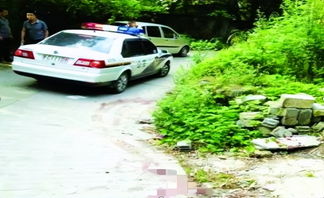 回顾贵州老人山上晨练，被杜高犬一路跟随，最终被2只杜高犬撕碎