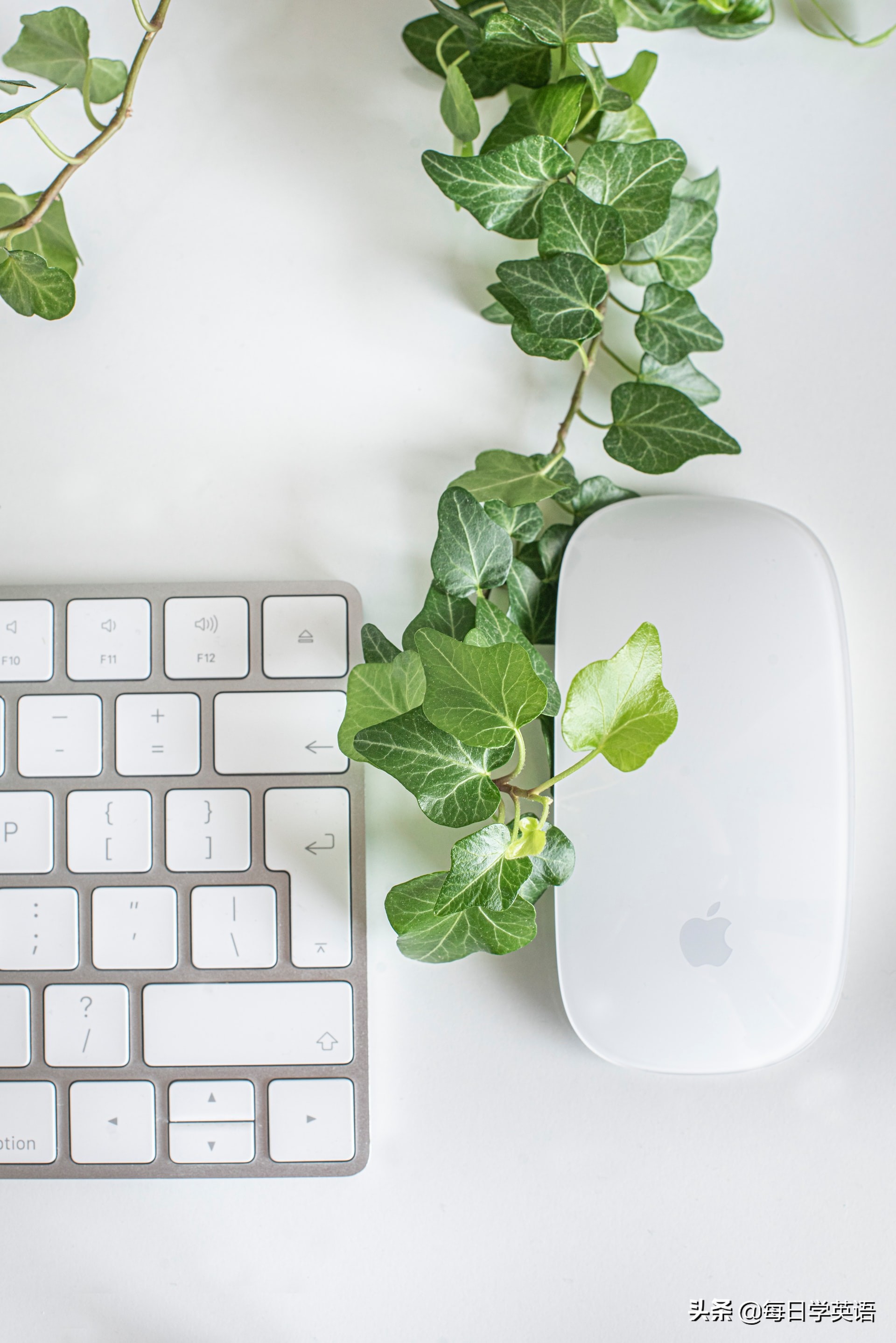 英语两个g有什么区别,g与z英语如何区别