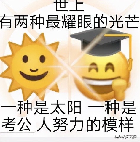 复旦大学mpacc报考条件,mpacc考公能选哪些岗位