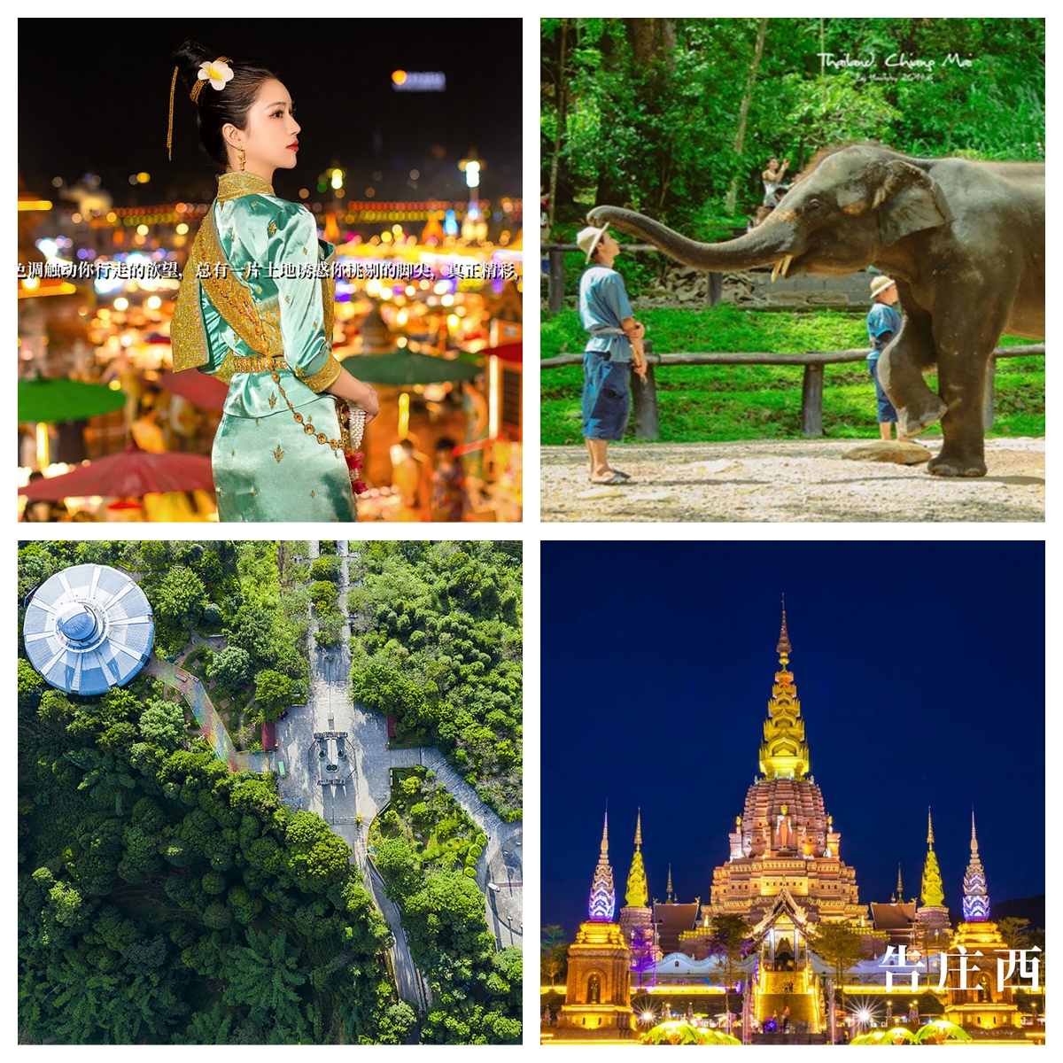 为梦出发英语歌曲,为梦出发原唱