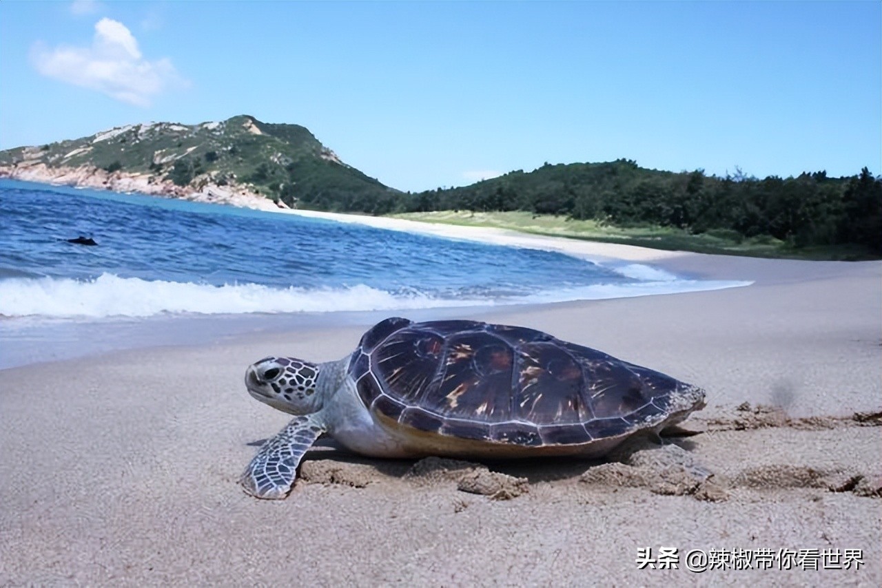 惠州市海岸线,惠州的海岸线