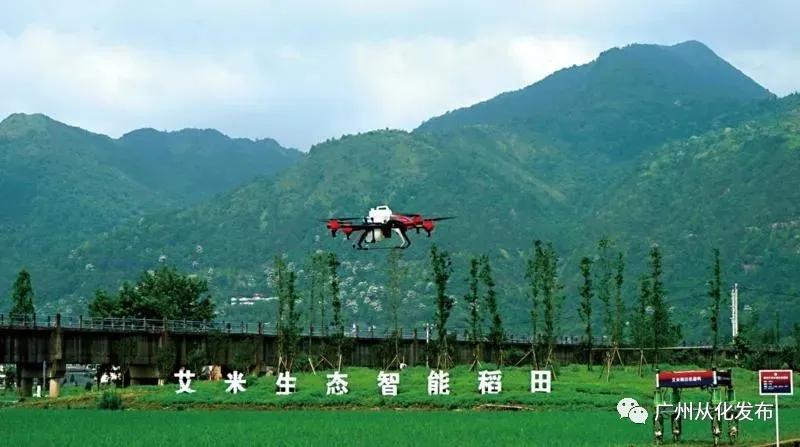 在从化生活幸福吗,在广州生活的幸福感