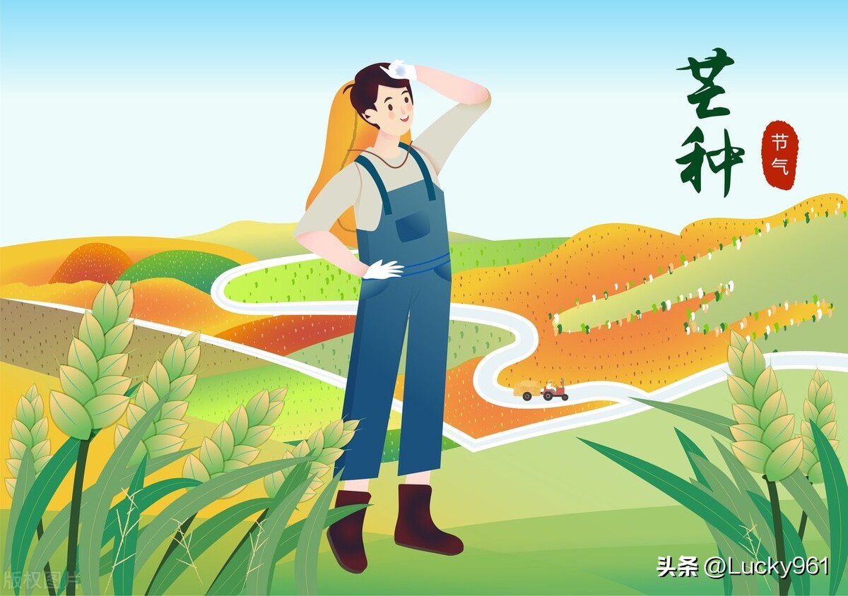 回乡创业新思路,回乡村创业成功的青年