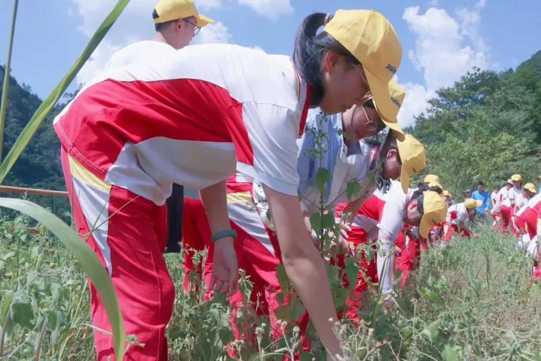 探索时间里的中国智慧|贵阳普瑞学校主题劳动与实践教育精彩进行