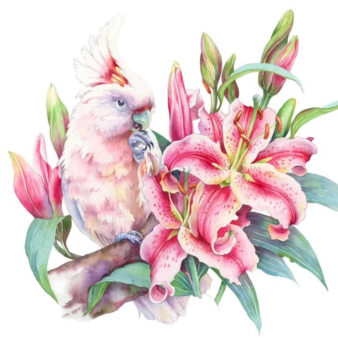 大神级水彩作品看完肯定不后悔,40张笔触狂放的水彩