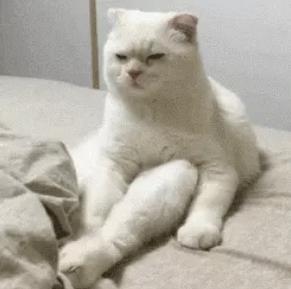 眼屎是不是结膜分泌物,眼睛有大量眼屎是内脏出问题吗