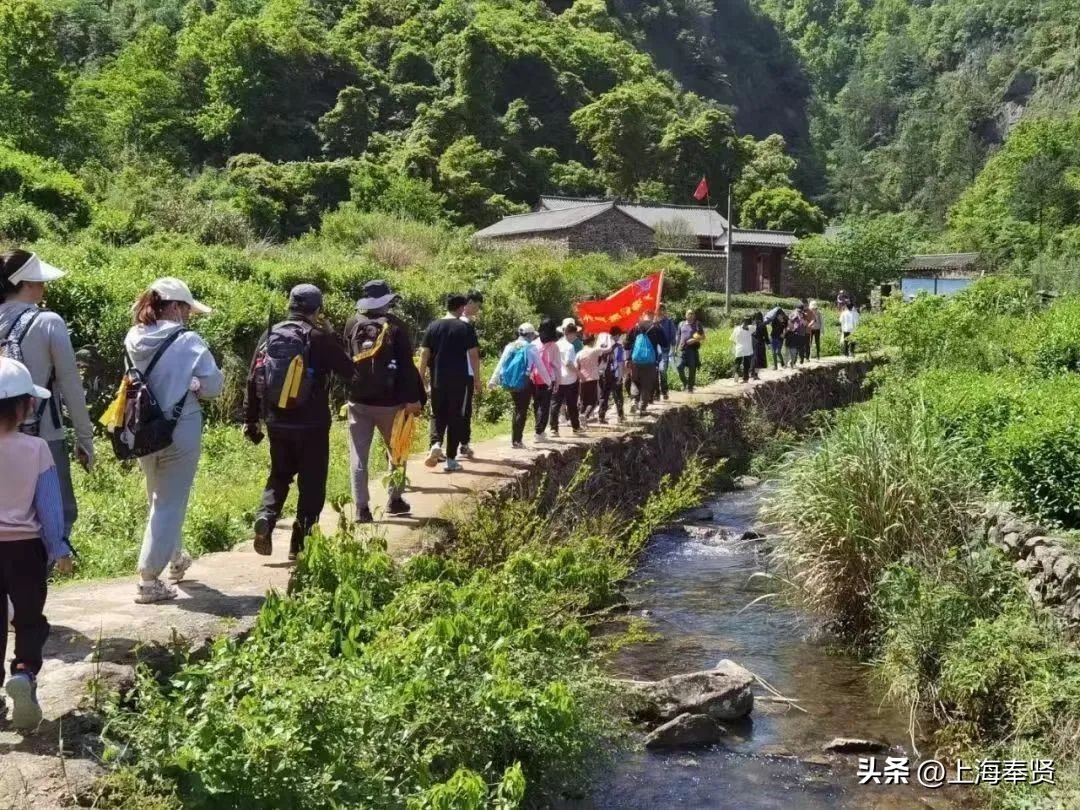 从“扰民”健身房走出来的“佳”能兄弟团