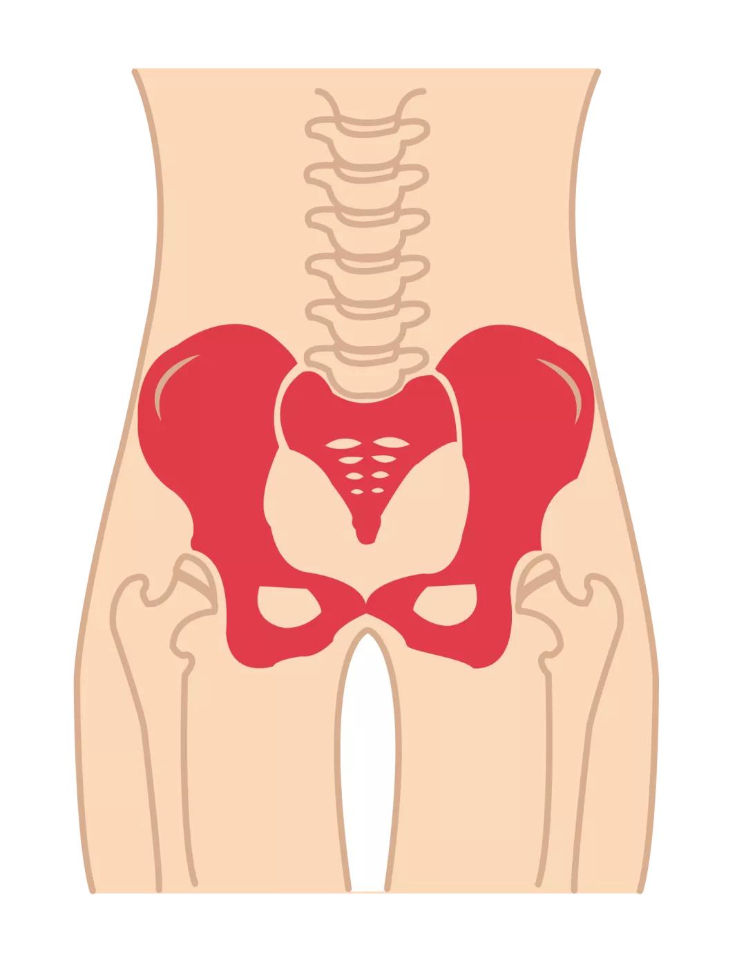 为什么产后矫正骨盆好使,产后盘腿坐对骨盆恢复有影响吗