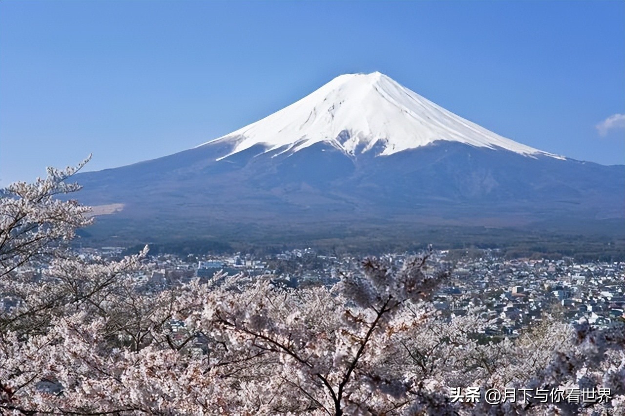 各国的奇葩法规,国外的奇葩禁令