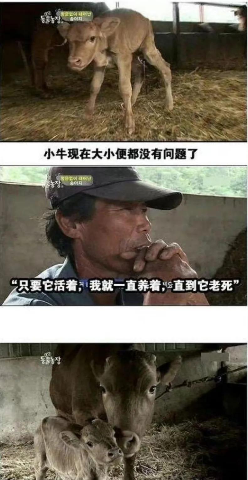 出生时没有肛门，有人却说要养他一辈子