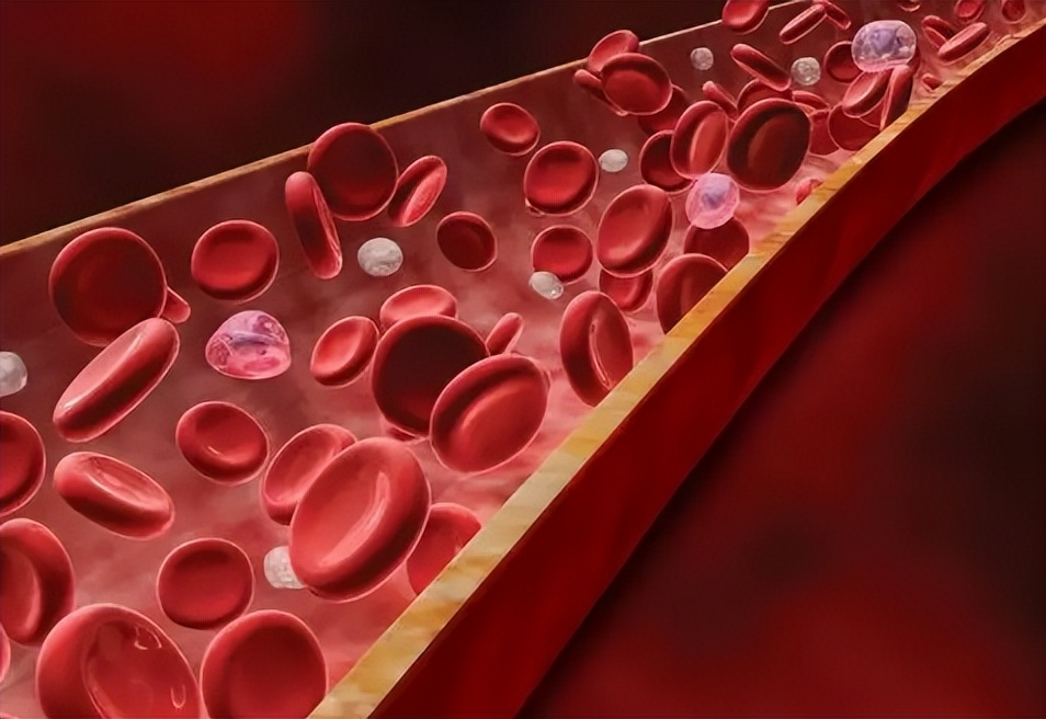 治疗男性精子活力的中药配方,提高精子活性的药治早泄吗