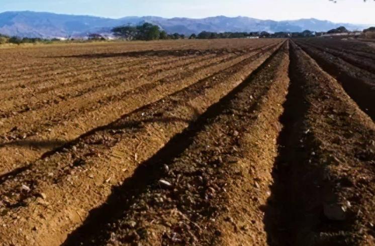 公务员的工资是否靠卖土地支付,土地难卖后公务员怎么办