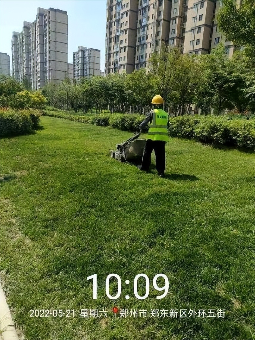 12月份园林绿化养护工作重点,元月份园林养护重点工作