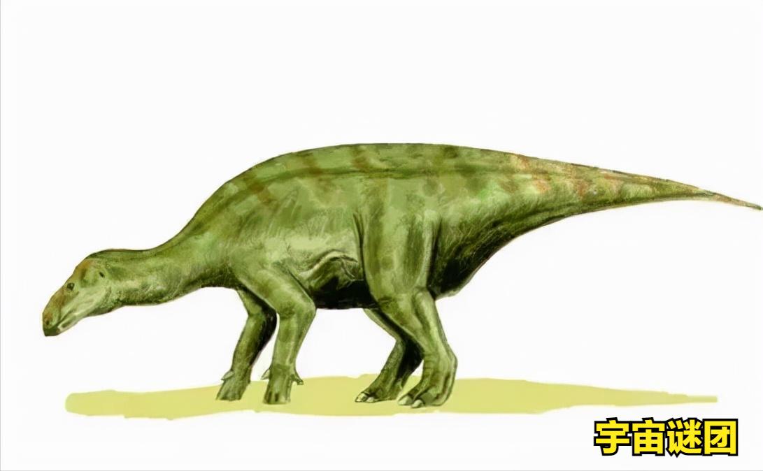 恐龙小百科认识更多的恐龙,恐龙大百科里有什么没见过的恐龙