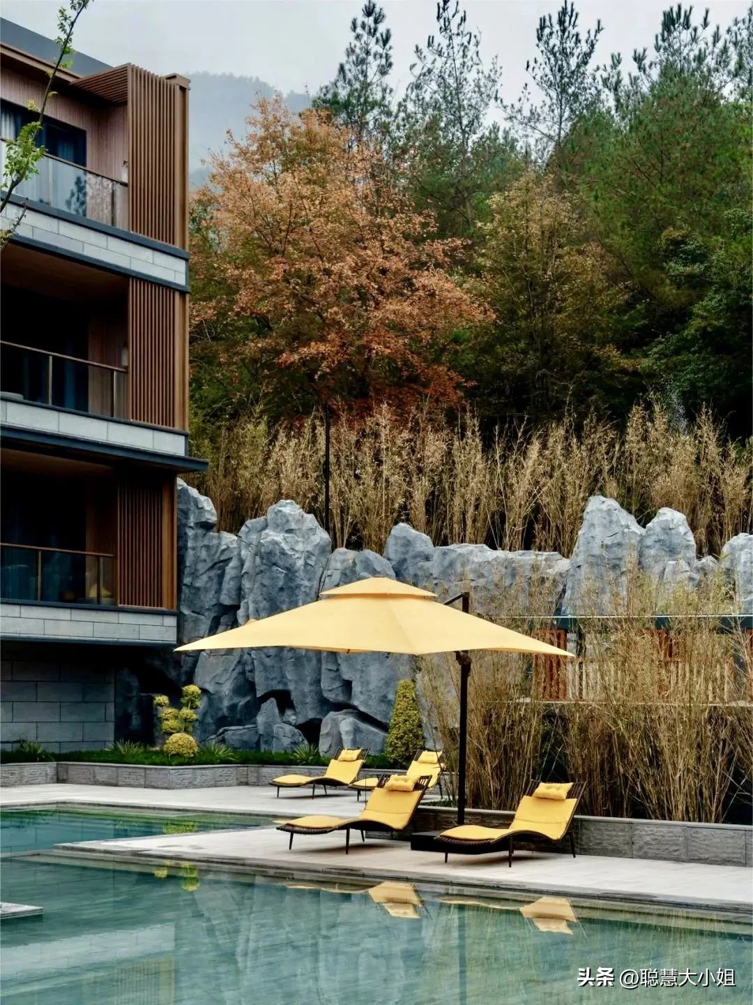 去安吉住哪个酒店离各景区比较近,去安吉哪种酒店最好玩