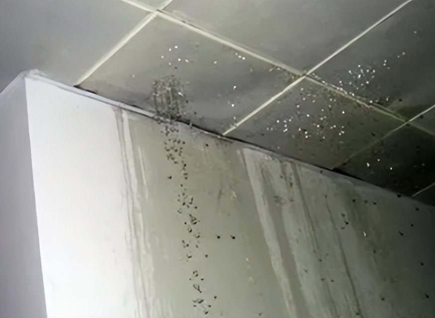 厨房没漏水但楼下天花板漏水,天花板漏水是楼上住户漏水吗