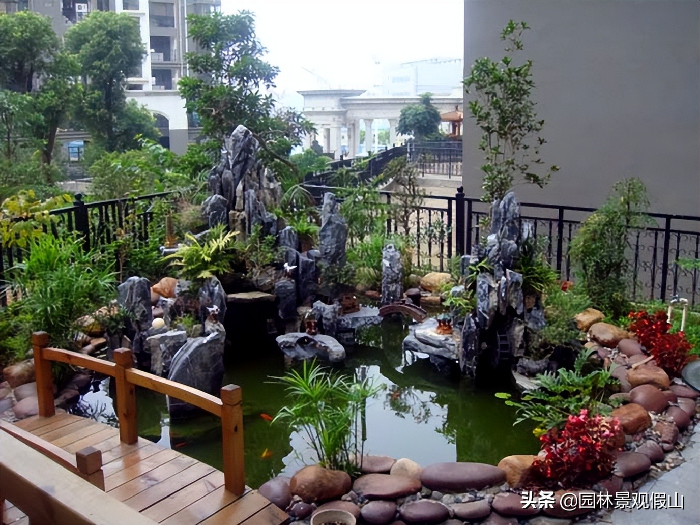 锦鲤鱼池庭院假山流水,庭院鱼池养锦鲤的正确方法