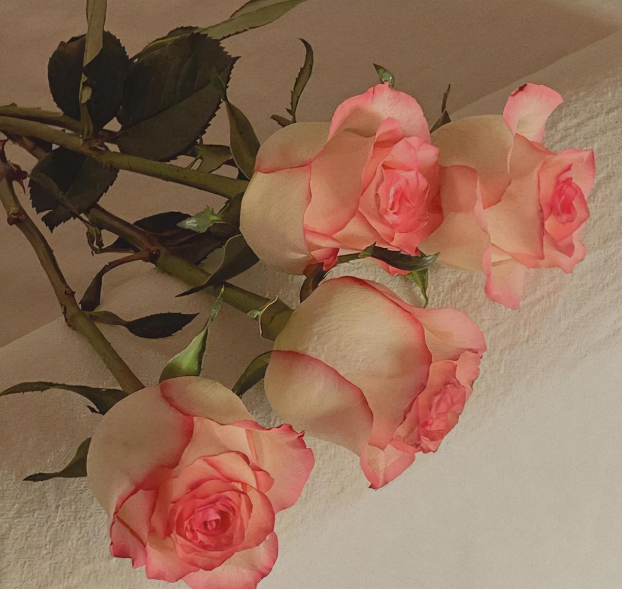 四十岁男人心中的女神,40岁大叔对什么样的女人会心动