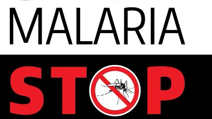 青蒿素vs癌细胞,华盛顿大学最新研究