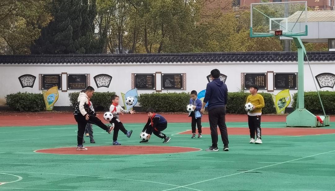 海门育才小学和新教育小学如何,海门育才小学和能仁小学哪个好