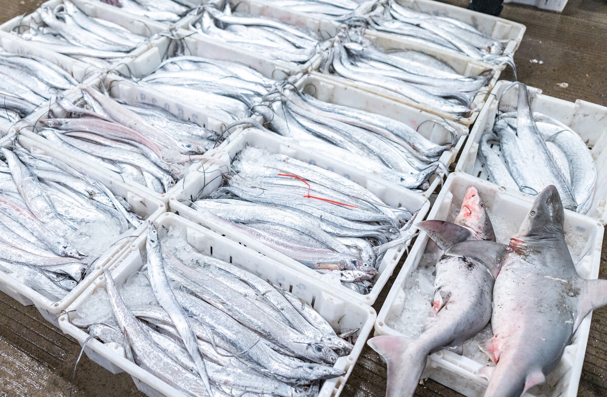 海滨城市美食推荐,附近海边海鲜美食推荐
