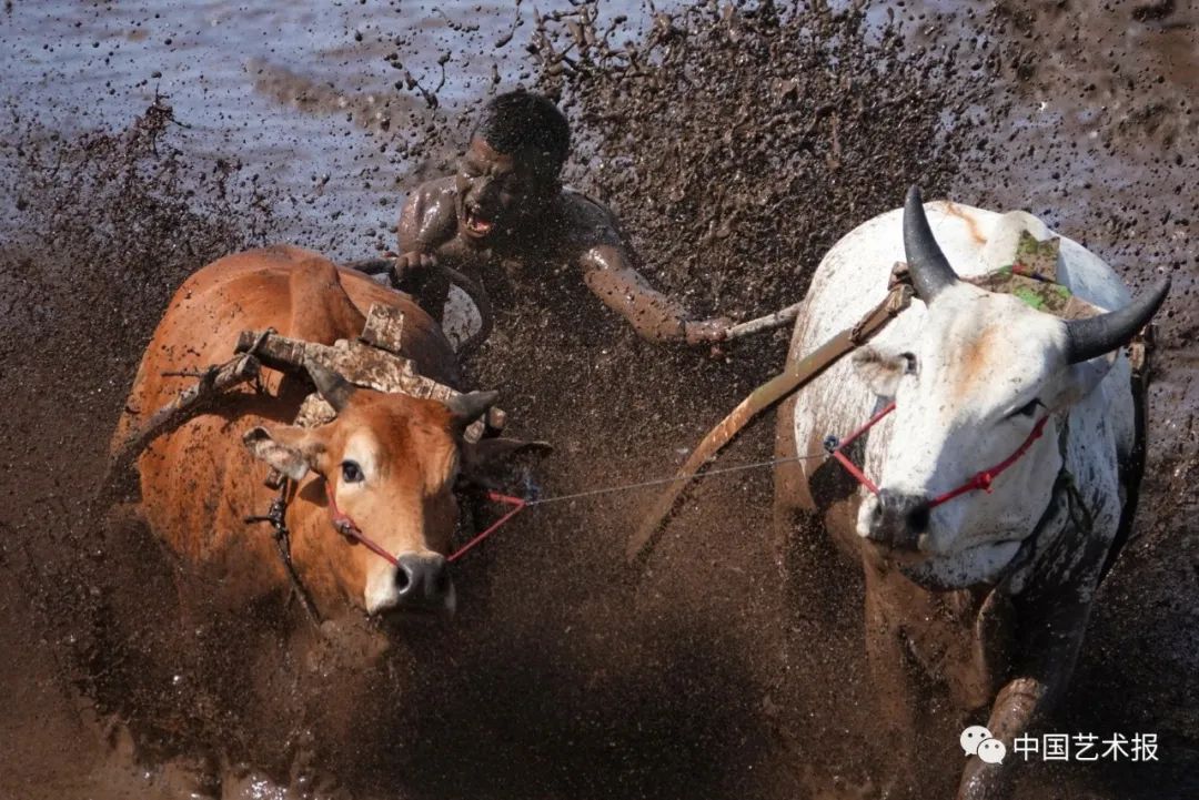 摄影师王琛访谈,采访景深视频