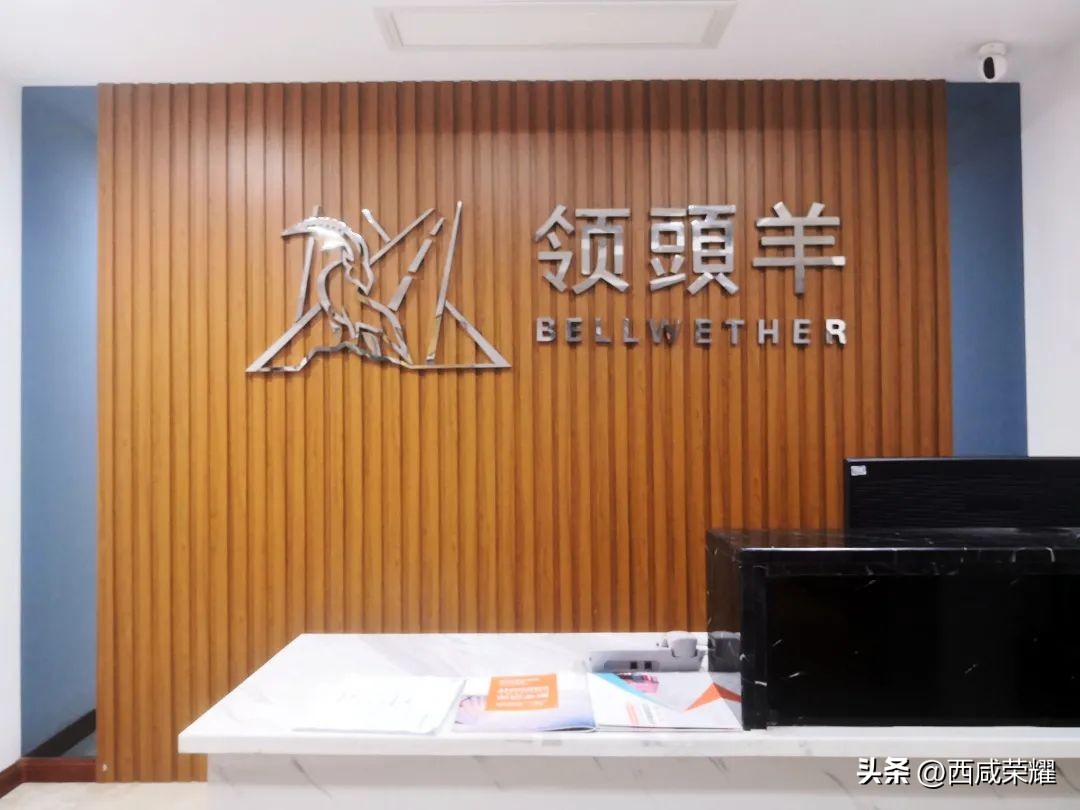 航空枢纽一体化发展试点,大型航空枢纽建设