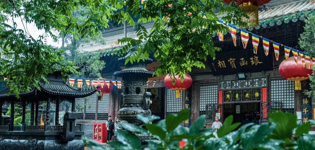 节气夏至已至向阳而生,节气夏至一切如约而至