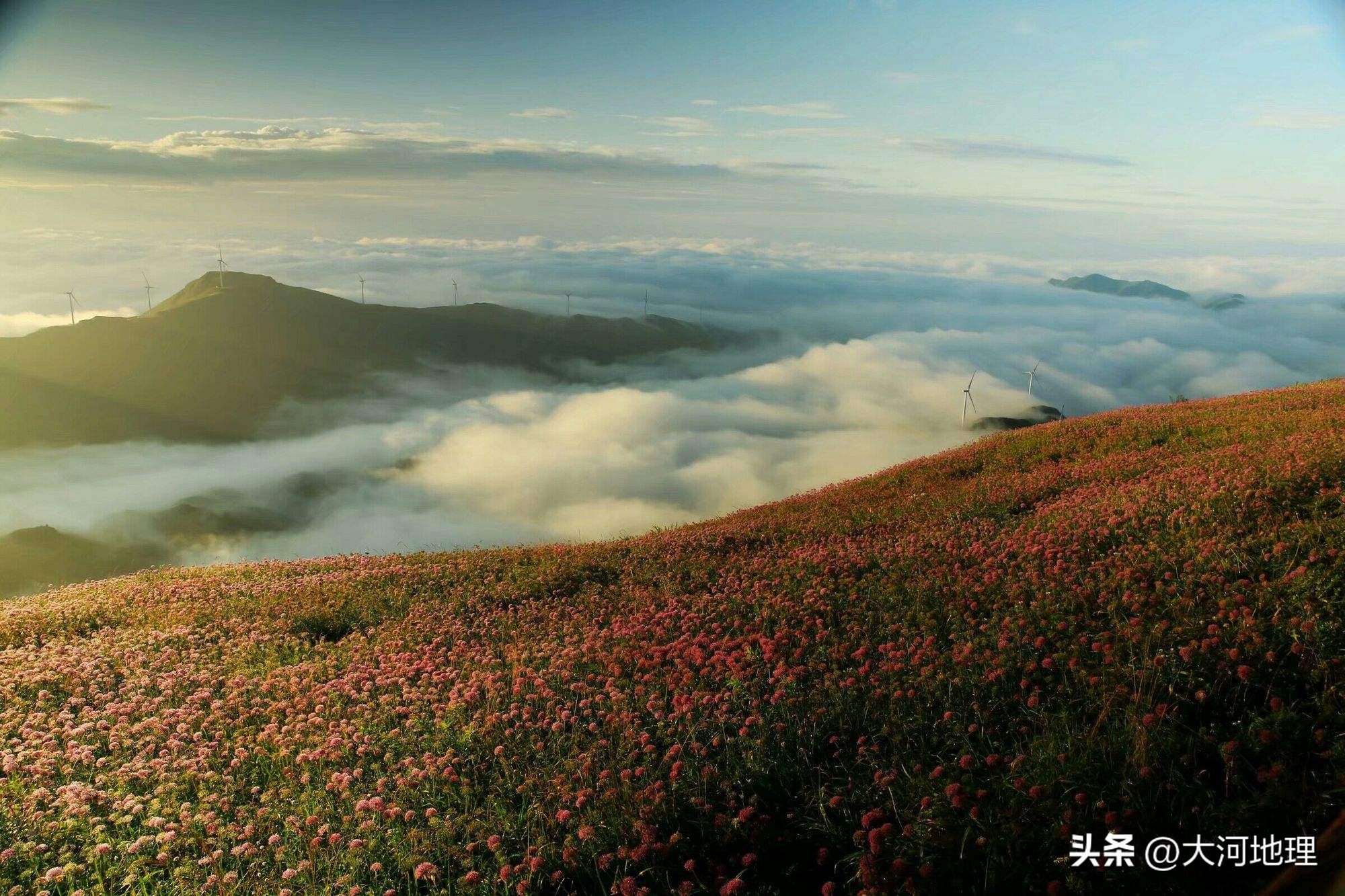 旅游攻略国内十大必去景点南方,中国南方著名景点