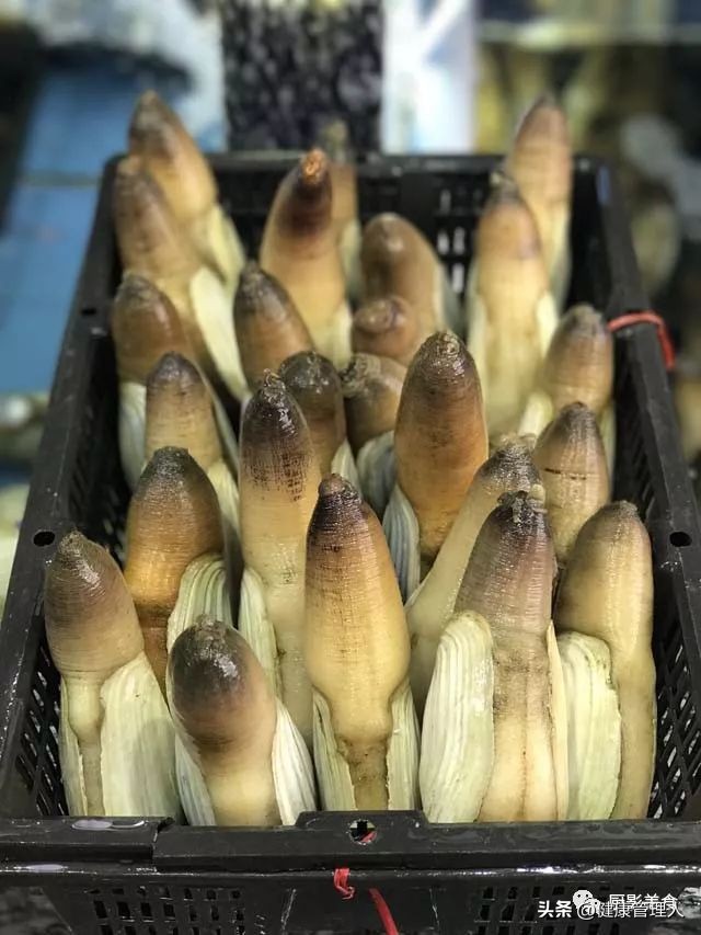 海鲜贝类品种大全及名字,22种海鲜贝类做法大全